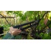 Nky univerzln pkov Fiskars 111640 na kee a re - Nky univerzln pkov Fiskars 111640 na kee a re