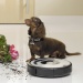 Vysava iRobot ROOMBA 564 PET robotick - Vysava iRobot ROOMBA 564 PET robotick