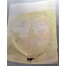 Hadice s regultorem tlaku 30 mbar Meva NP01007 sada na pipojen PB lahve 10kg - Hadice s regultorem tlaku 30 mbar Meva NP01007 sada na pipojen PB lahve 10kg