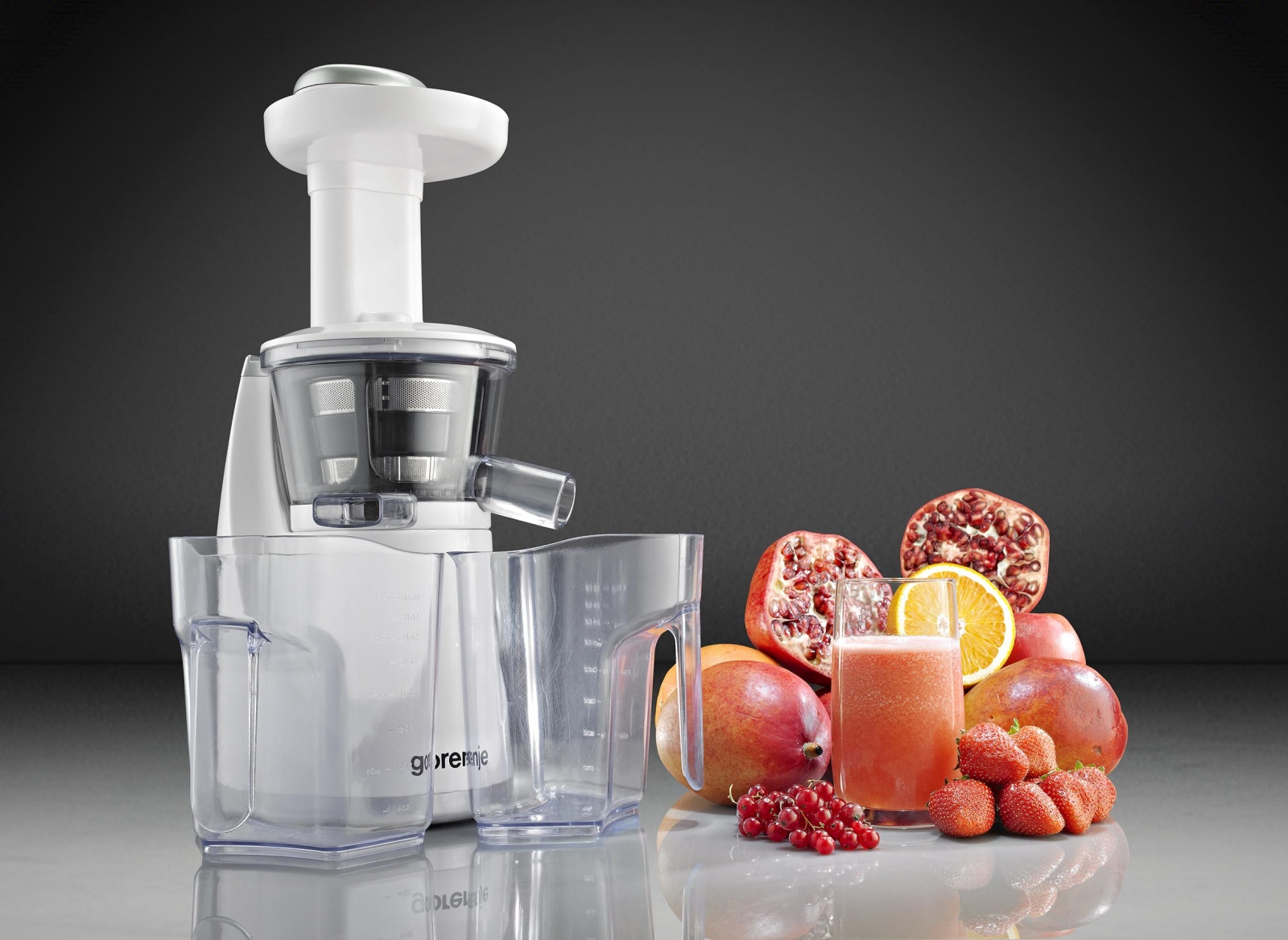 Odšťavňovač GORENJE JC 4800 VMXSlow juicer 4290 Kč