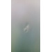 Chlad/mraz BEKO CNA 340 ED0X - Chlad/mraz BEKO CNA 340 ED0X