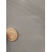 Chlad/mraz INDESIT LR7 S2 X - Chlad/mraz INDESIT LR7 S2 X