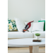 Vysava GORENJE SVC216FR  - Vysava GORENJE SVC216FR 