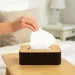 Krabička na papírové kapesníčky plast / dřevo černá - Krabička na papírové kapesníčky plast / dřevo černá