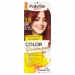 PALETTE Color Shampoo 318/5-88 intenzivn erven - PALETTE Color Shampoo 318/5-88 intenzivn erven
