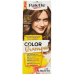 Barva PALETTE Color Shampoo 231/6-0 svtle hnd - Barva PALETTE Color Shampoo 231/6-0 svtle hnd