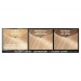 Barva Garnier OLIA 9.0 svtl blond - Barva Garnier OLIA 9.0 svtl blond
