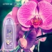 Sprchov gel FA Magic Oil Purple Orchid 250 ml - Sprchov gel FA Magic Oil Purple Orchid 250 ml