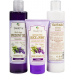 Kazeta BODY TIP Levandule /tl. mlko 250 ml+krm na ruce 100 ml + SPG 250 ml/ - Kazeta BODY TIP Levandule /tl. mlko 250 ml+krm na ruce 100 ml + SPG 250 ml/