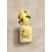 Svka YANKEE CANDLE Lemon Gelato 567 g, 2 knoty - Svka YANKEE CANDLE Lemon Gelato 567 g, 2 knoty
