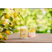 Svka YANKEE CANDLE Lemon Gelato 567 g, 2 knoty - Svka YANKEE CANDLE Lemon Gelato 567 g, 2 knoty