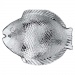 Tal Banquet Ryba sklenn 26 x 21 cm - obr