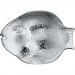 Tal Ryba 250x360 mm sklenn - obr