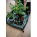 Podlo�ka p�esazovac� pro v�sadbu rostlin 66x66 cm - Podlo�ka p�esazovac� pro v�sadbu rostlin 66x66 cm