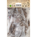 Lilie orient�ln� hybridy STARGAZER 1 ks, cibulovina - Lilie orient�ln� hybridy STARGAZER 1 ks, cibulovina
