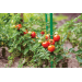 Ty oprn 150cm x 1,1 cm, 1 ks - Ty oprn 150cm x 1,1 cm, 1 ks